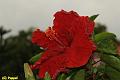 E-R5187-IMG_9079-5