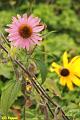 E-R5204-IMG_9096-5