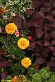E-R5209-IMG_9101-5
