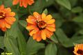 E-R5486-IMG_9377-5