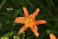 E-R5508-IMG_9399-5