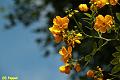 E-R5526-IMG_9417-5