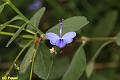 E-R5540-IMG_9431-5