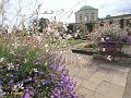IMG_A316a