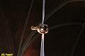 D-S0179-IMG_2308-5