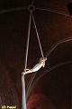 D-S0187-IMG_2316-5