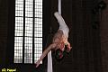 D-S0284-IMG_2344-5