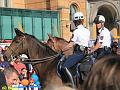 IMG_4145a