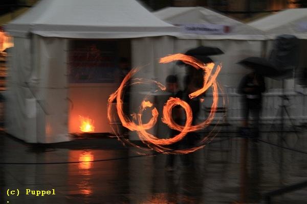D-T2811-IMG_7174-5.jpg