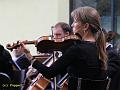 D-T0050-IMG_6403-5a