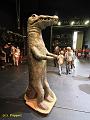 D-T2317-IMG_6686-5a