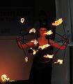 D-T2626-IMG_6989-5a