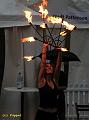 D-T2648-IMG_7011-5a
