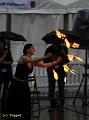 D-T2677-IMG_7040-5a