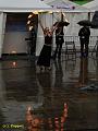 D-T2726-IMG_7089-5a