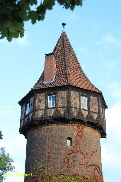 B-IMG_7617.JPG