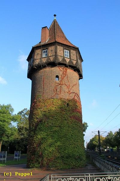 B-IMG_7672.JPG