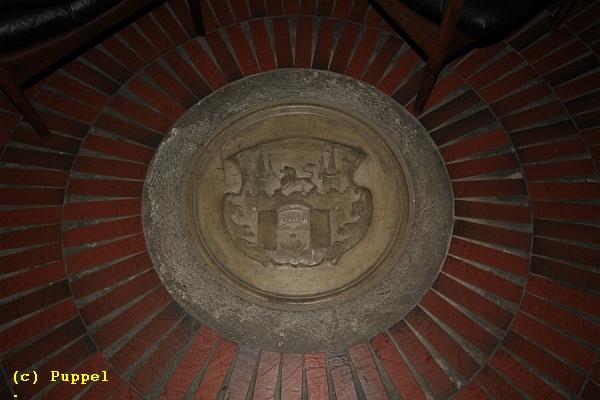 D-T3155-IMG_7518-5.JPG