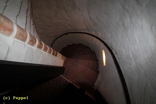 D-T3204-IMG_7567-5.JPG