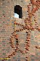 B-IMG_7628