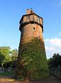 B-IMG_7631a