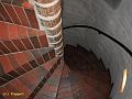 D-T3154-IMG_7517-5a