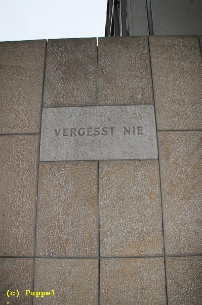 IMG_3720.jpg