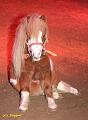 IMG_5249a