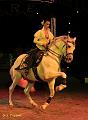 IMG_5344a