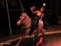 IMG_5930a