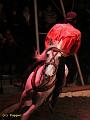 IMG_5944a