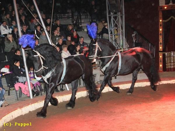 IMG_7230a.jpg