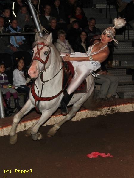 IMG_7352a.jpg