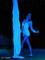 IMG_6878a