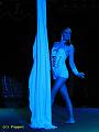 IMG_6879a