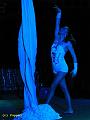 IMG_6882a