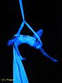 IMG_6943a