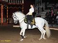IMG_7018a