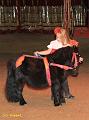 IMG_7276a