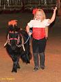IMG_7278a