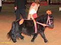 IMG_7279a