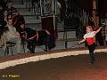 IMG_7280a