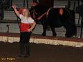 IMG_7282a