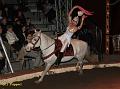 IMG_7351a