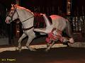 IMG_7353a