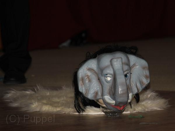 IMG_1565a.jpg