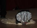 IMG_1565a