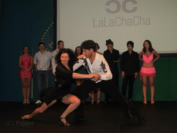 IMG_2745a.jpg