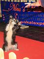 IMG_2938a