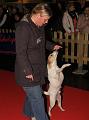 IMG_2941a